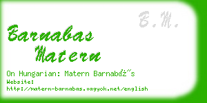 barnabas matern business card